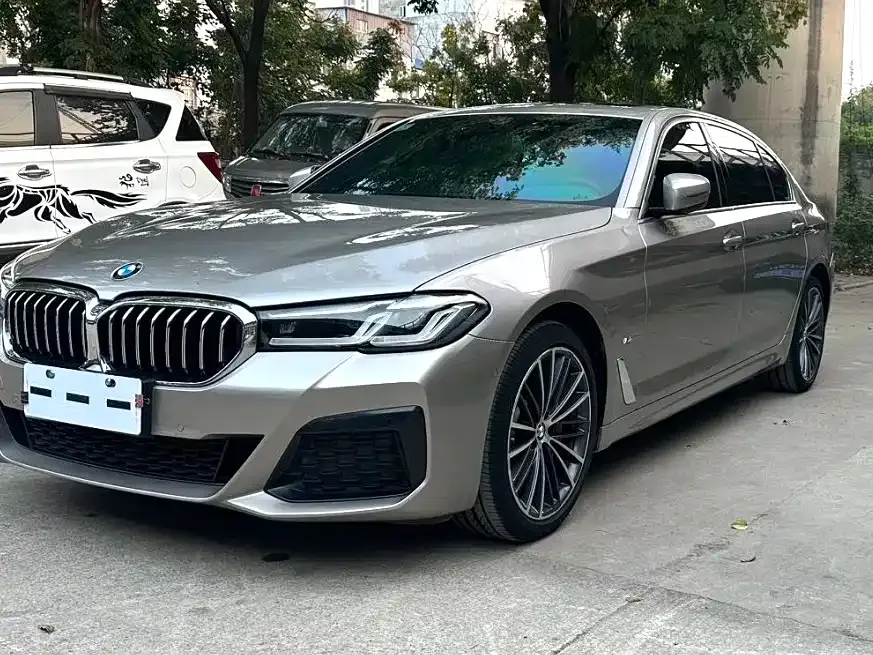 BMW 5 Series 2022 из CN, фото 1