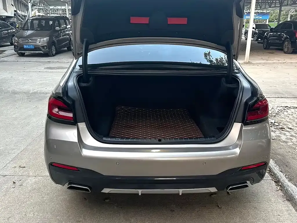 BMW 5 Series 2022 из CN, фото 3