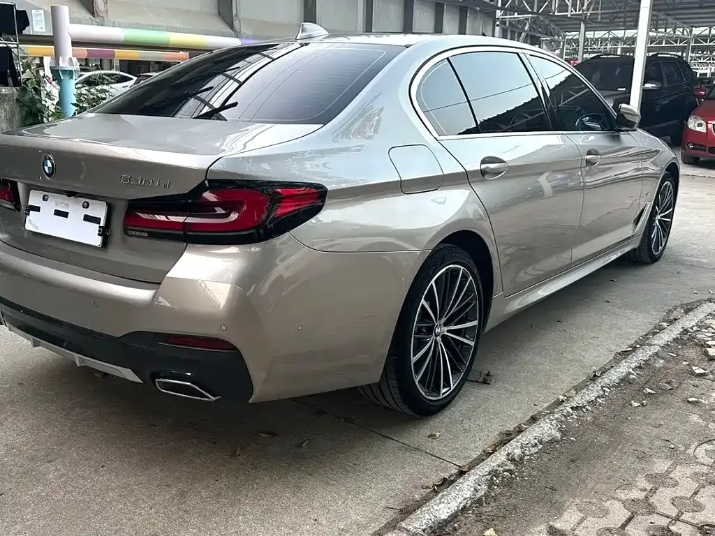 BMW 5 Series 2022 из CN, фото 6