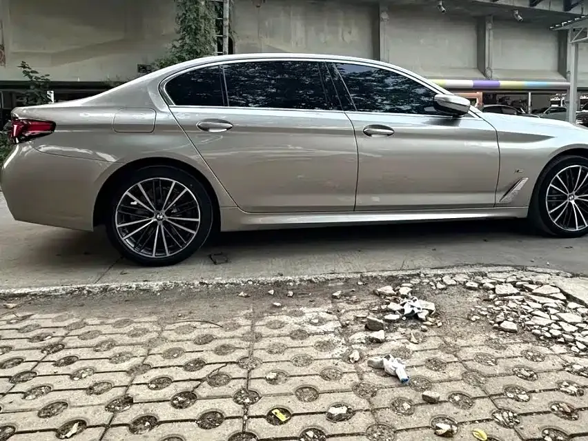 BMW 5 Series 2022 из CN, фото 2