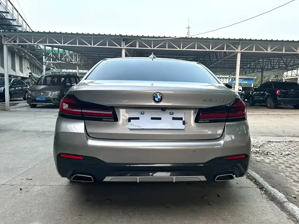BMW 5 Series 2022 из CN, фото 10