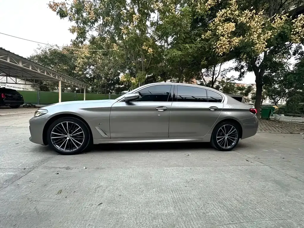 BMW 5 Series 2022 из CN, фото 9