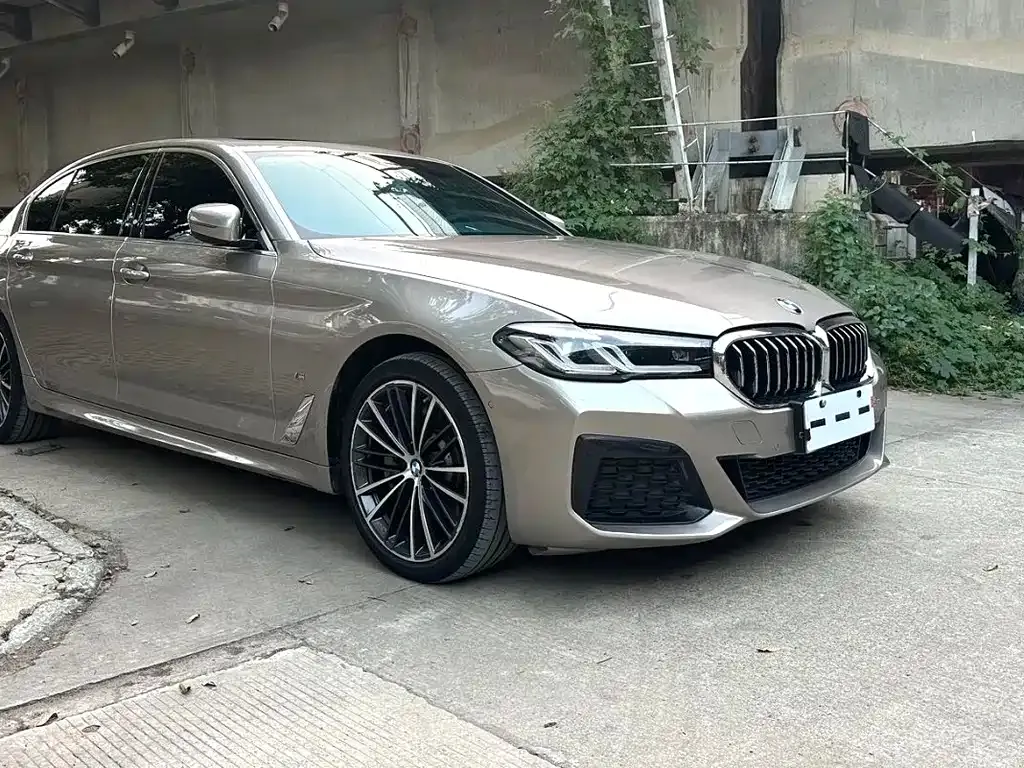 BMW 5 Series 2022 из CN, фото 5