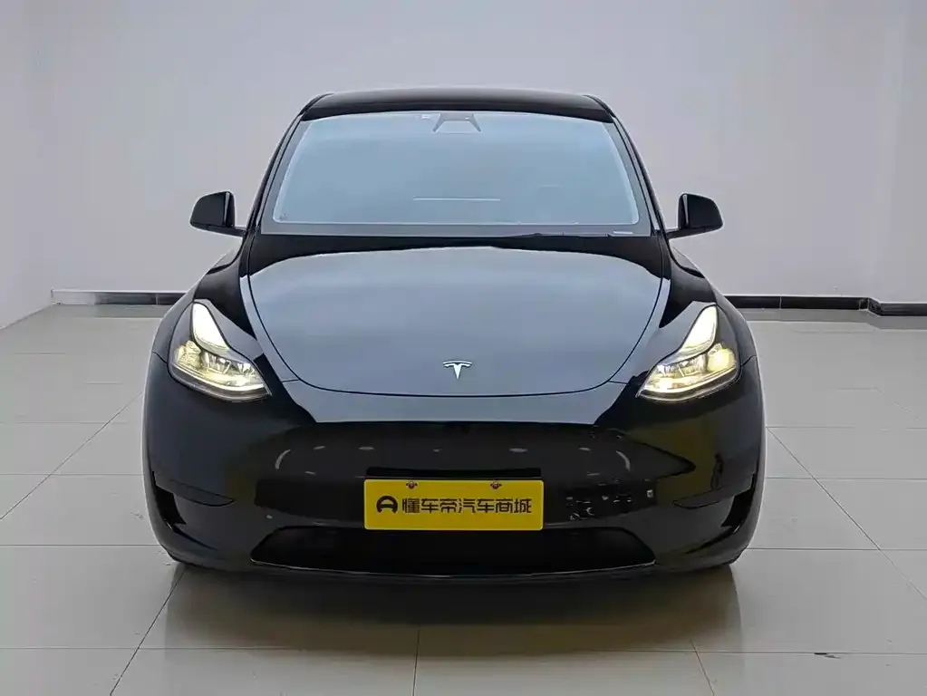 Tesla Model Y — фото 2