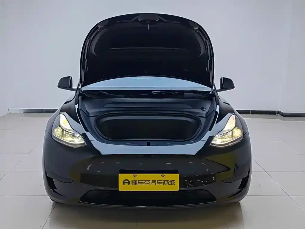 Tesla Model Y — фото 3