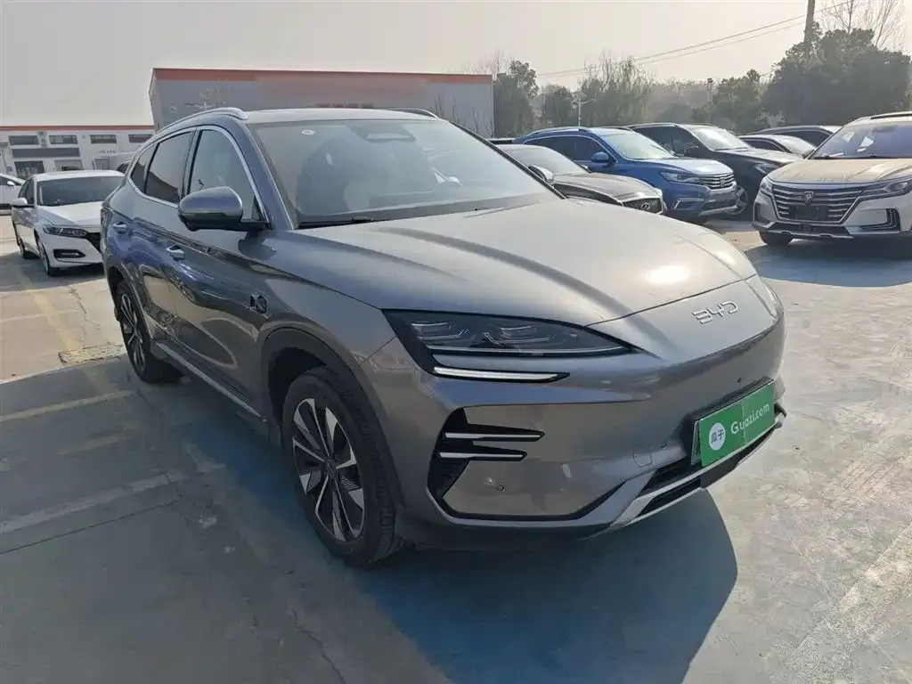 BYD PLUS New Energy 2025 из CN, фото 4