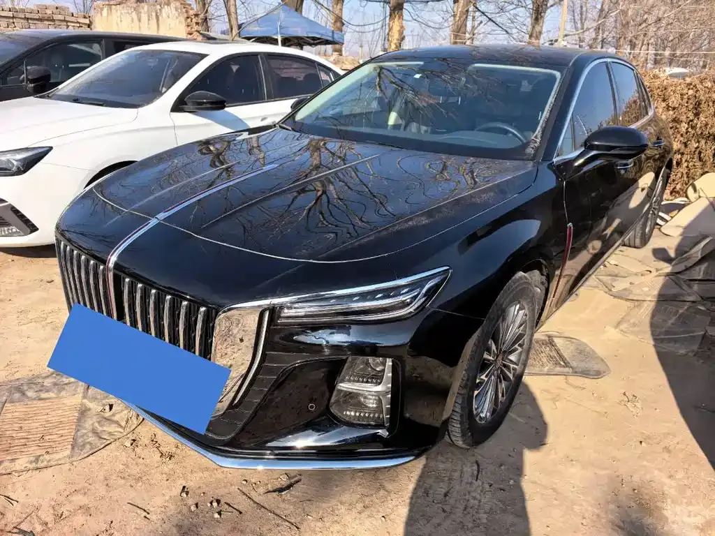 Hongqi H5 2023 из CN, фото 1