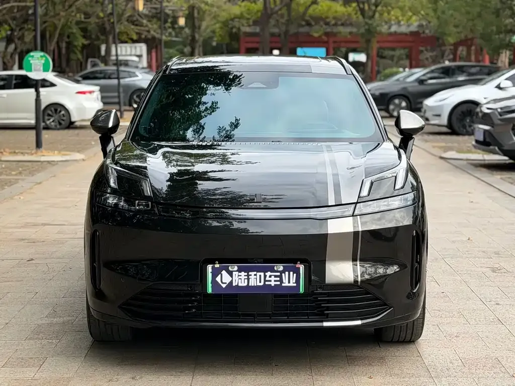 Lynk & Co 08 EM-P 2023 из CN, фото 2