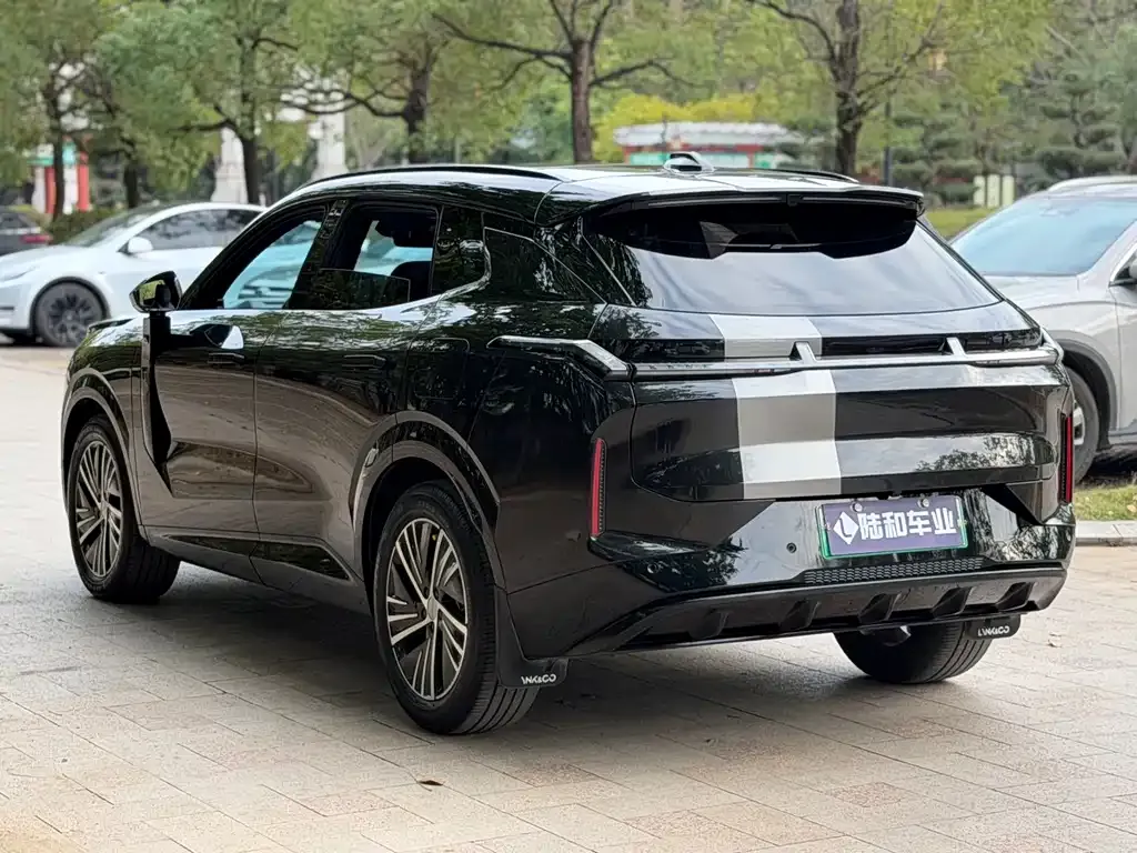 Lynk & Co 08 EM-P 2023 из CN, фото 4