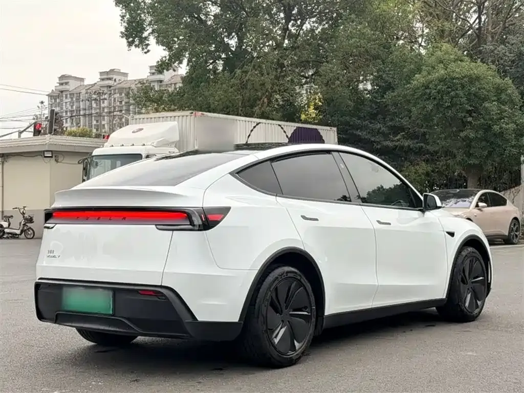 Tesla Model Y — фото 9