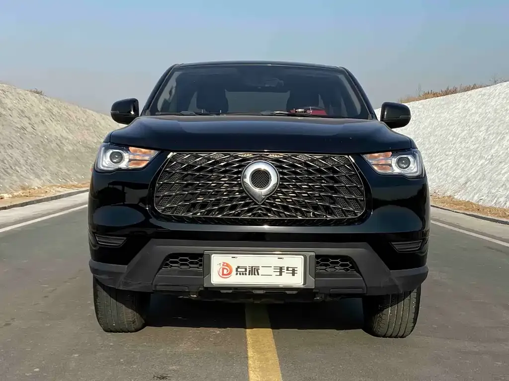 Great Wall Pao 2022 из CN, фото 10