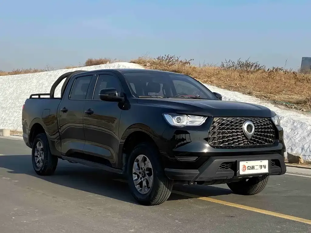 Great Wall Pao 2022 из CN, фото 4