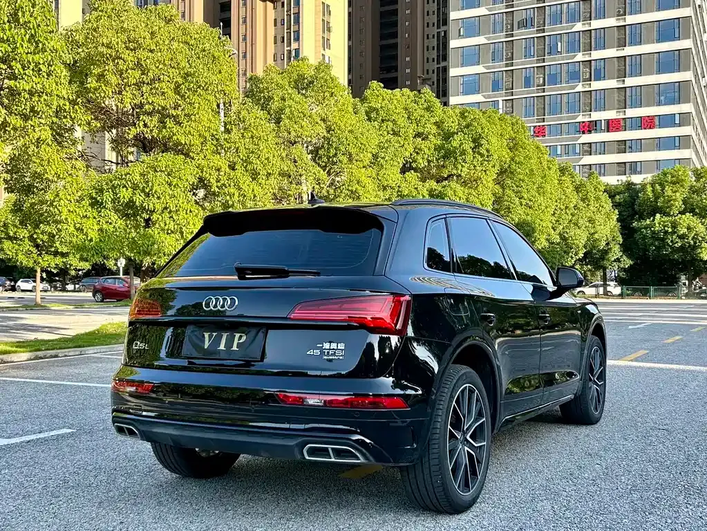 Audi Q5L 2024 из CN, фото 10