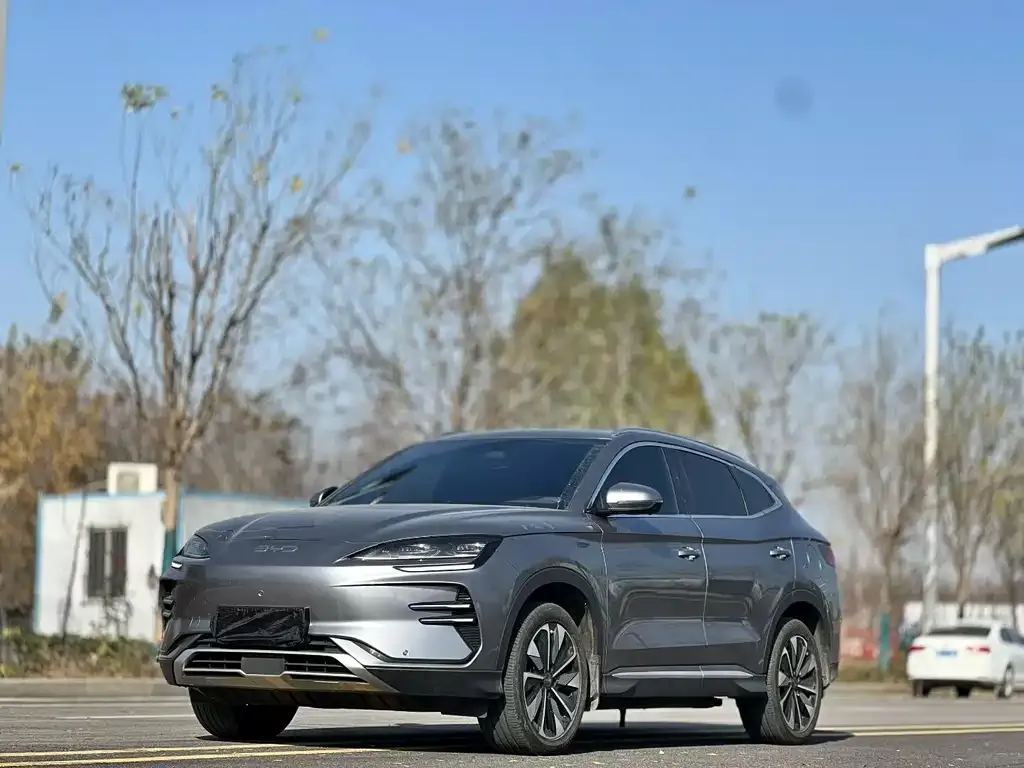 BYD PLUS New Energy — фото 1