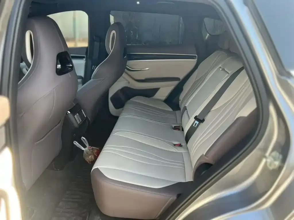 BYD PLUS New Energy — фото 5
