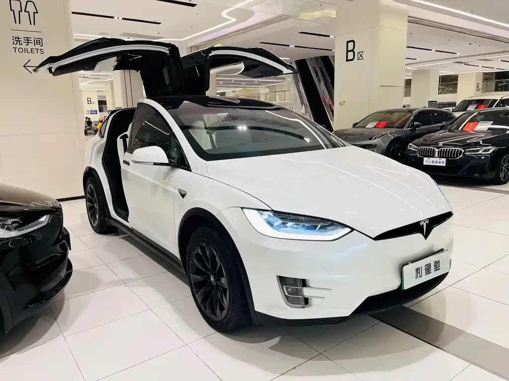 Tesla Model X — фото 9
