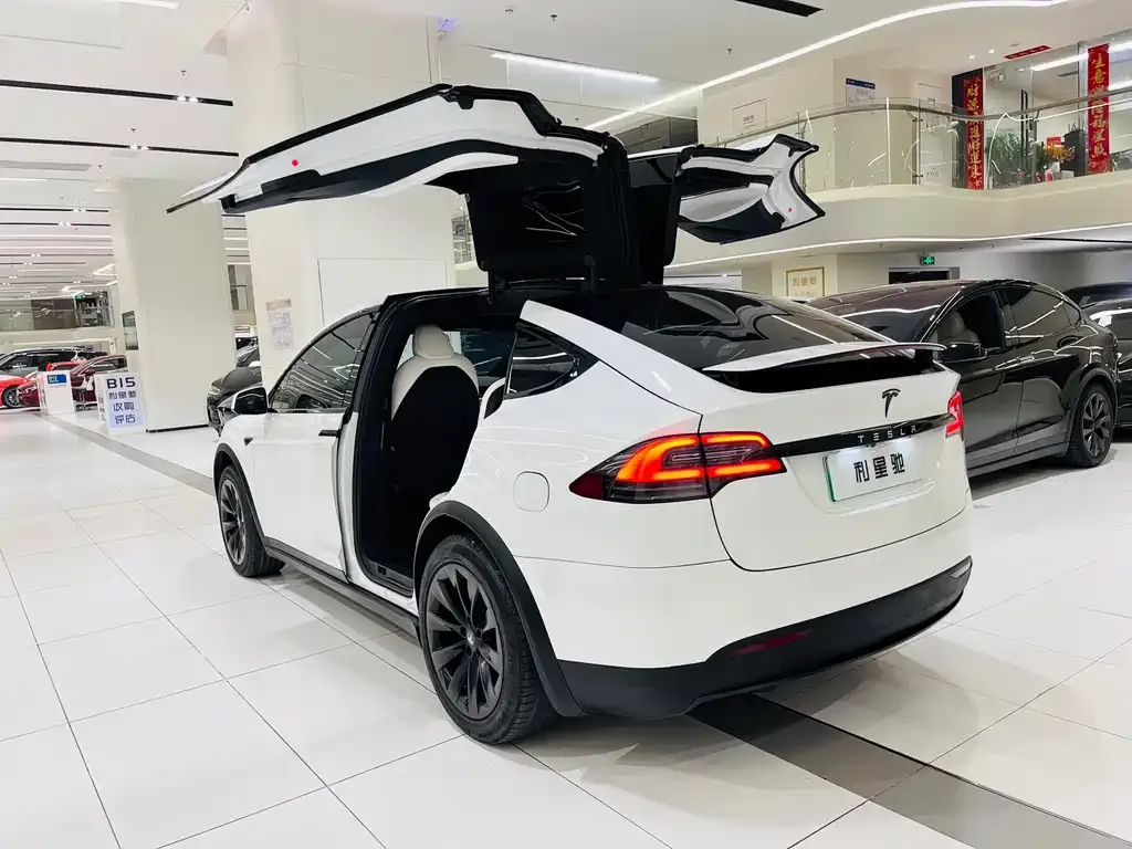 Tesla Model X — фото 3