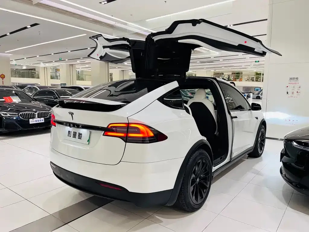 Tesla Model X — фото 7
