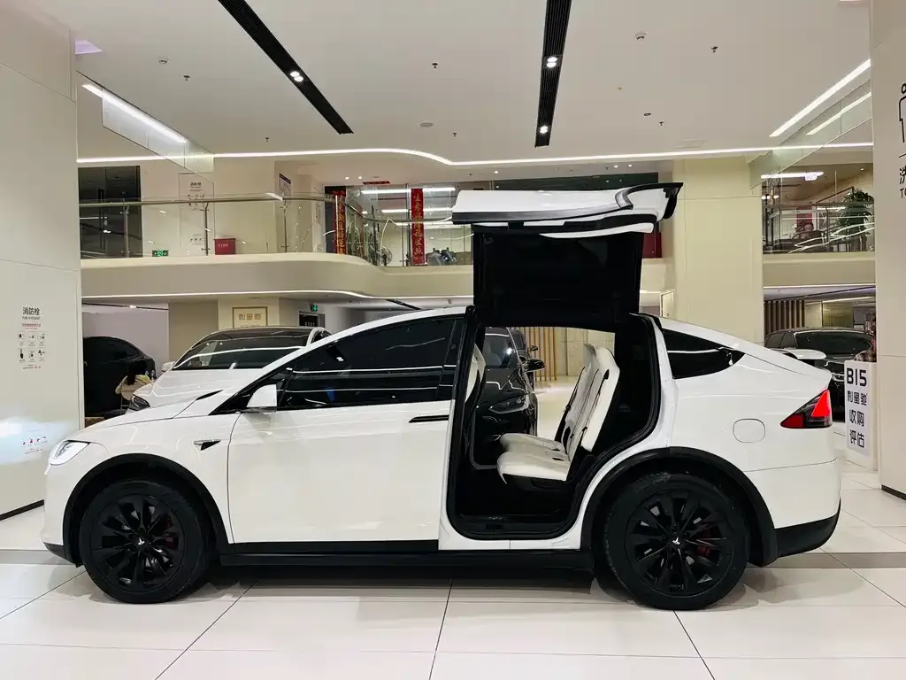 Tesla Model X — фото 4