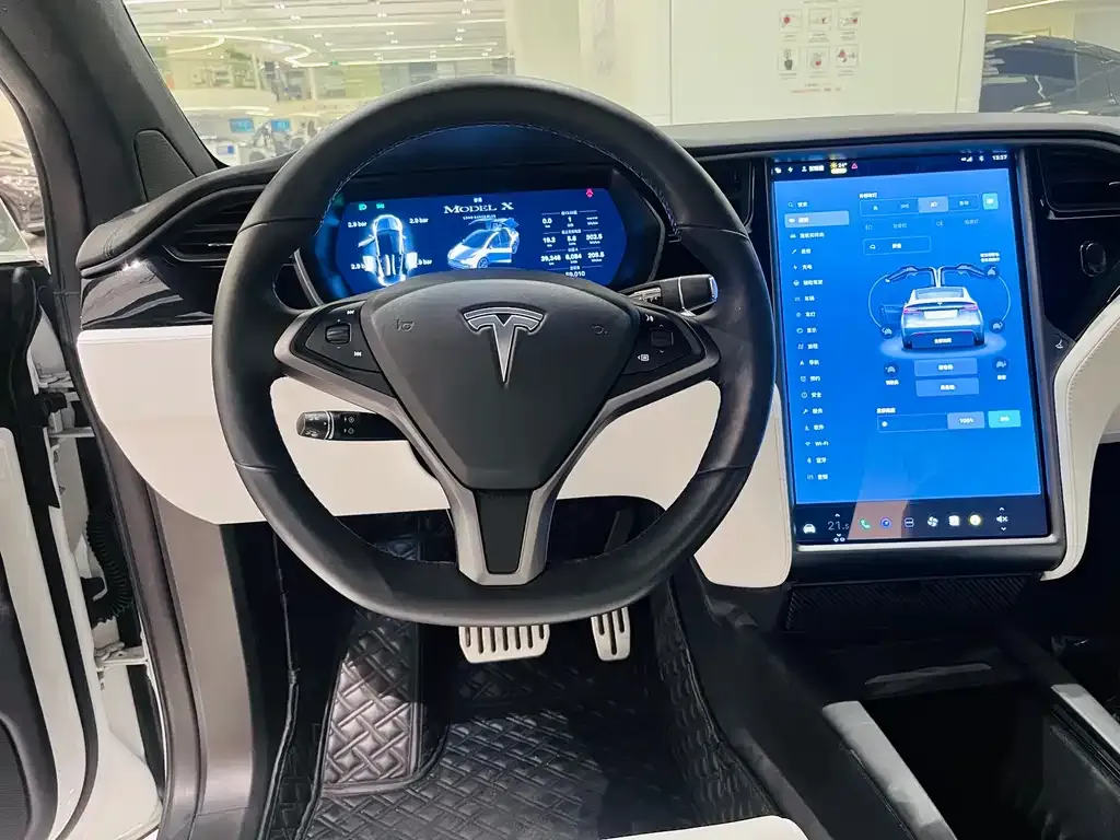 Tesla Model X — фото 10