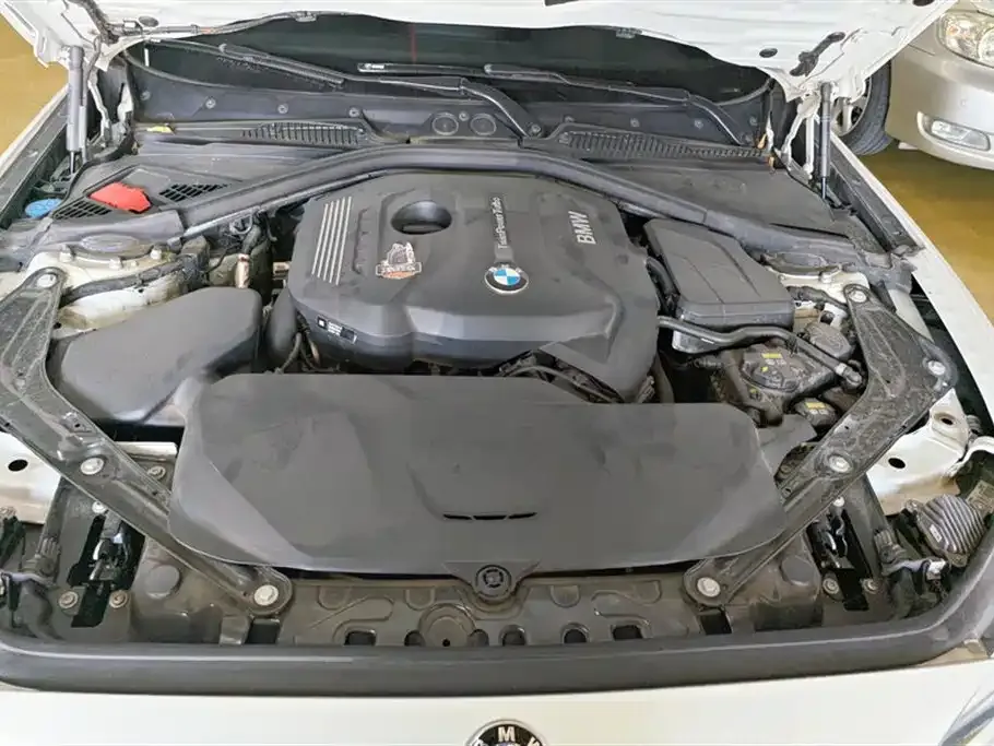 BMW 2 Series (Import) 2021 из CN, фото 10