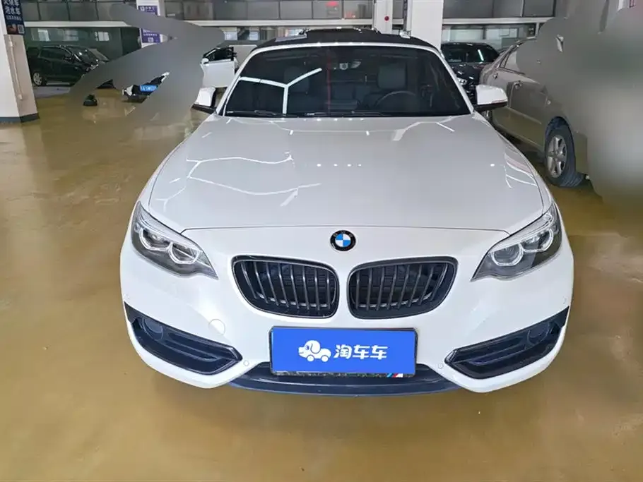 BMW 2 Series (Import) 2021 из CN, фото 8