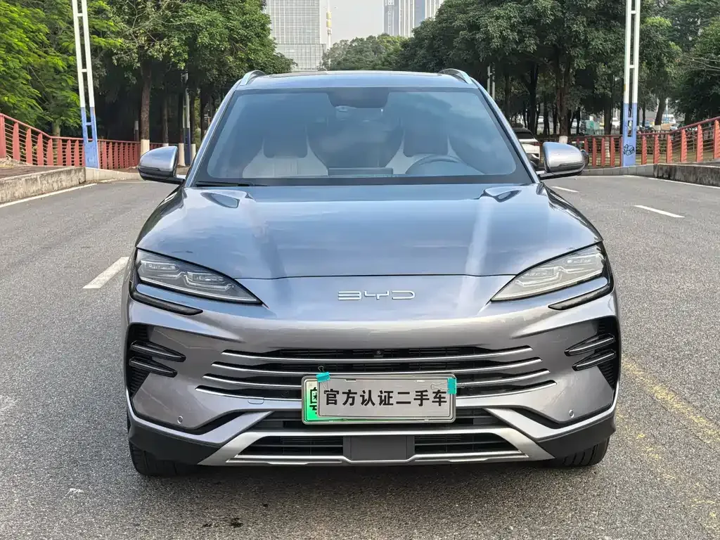 BYD PLUS New Energy — фото 2