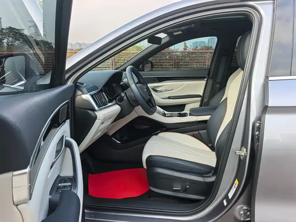 BYD PLUS New Energy — фото 4