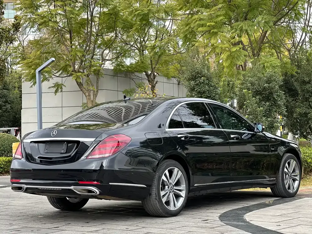 Mercedes-Benz S-Class 2021 из CN, фото 5