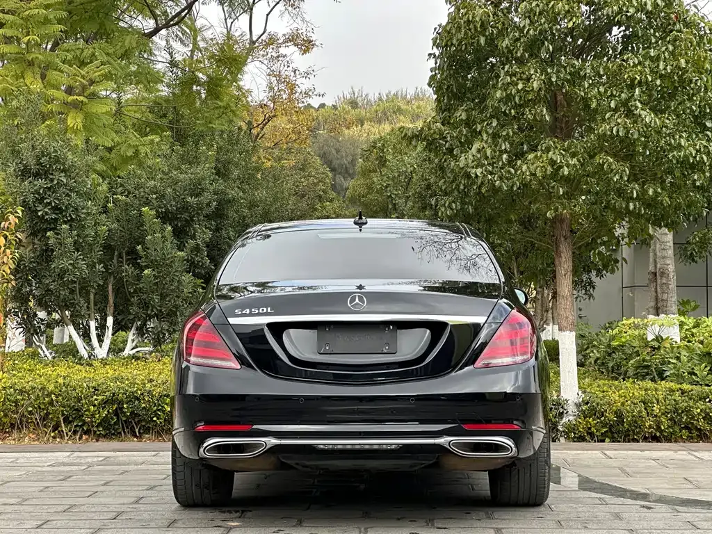 Mercedes-Benz S-Class 2021 из CN, фото 10