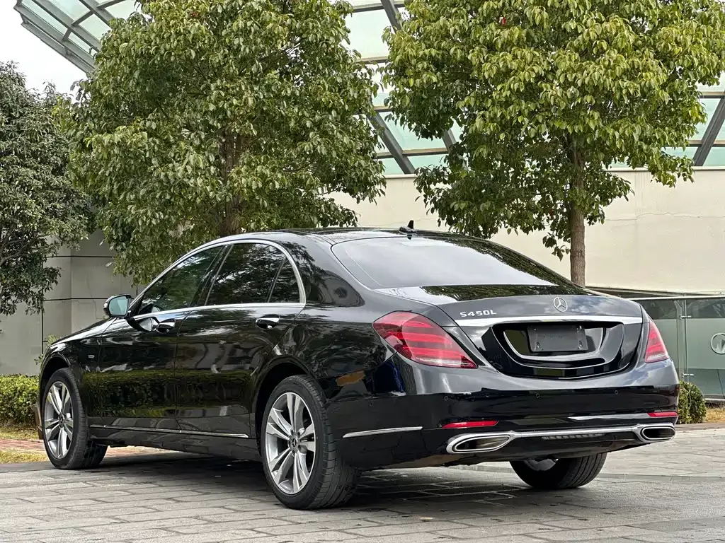 Mercedes-Benz S-Class 2021 из CN, фото 6