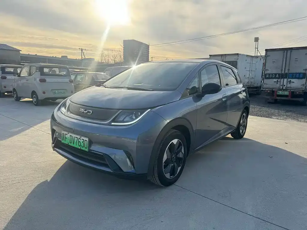 BYD Dolphin 2024 из CN, фото 1