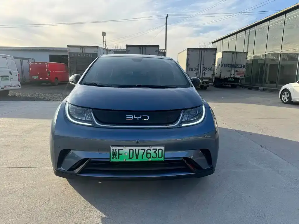 BYD Dolphin 2024 из CN, фото 10