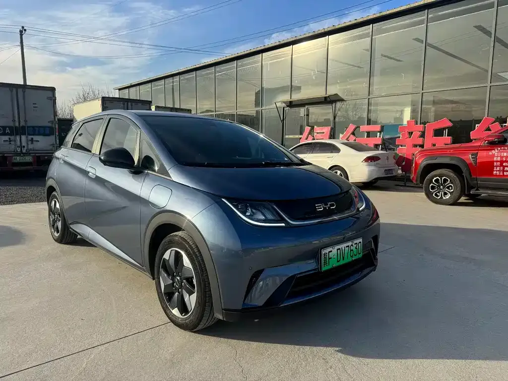 BYD Dolphin 2024 из CN, фото 5