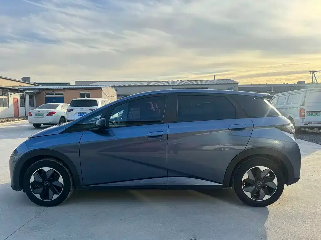 BYD Dolphin 2024 из CN, фото 4