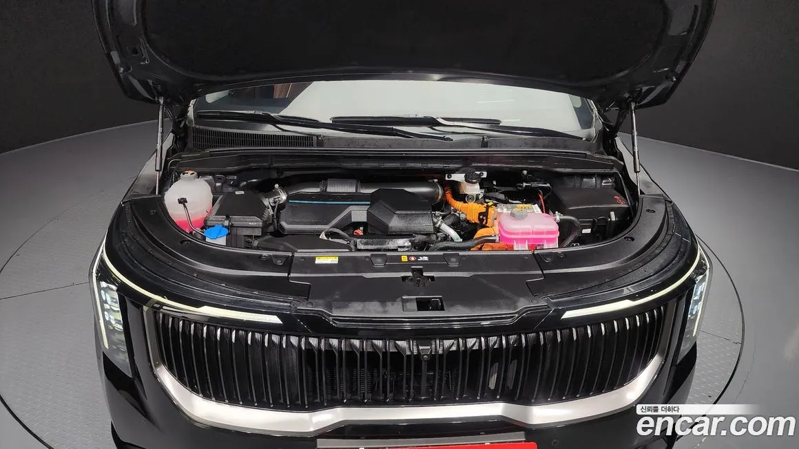 Kia Carnival — фото 10