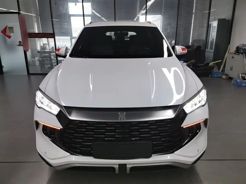 BYD Pro New Energy — фото 2