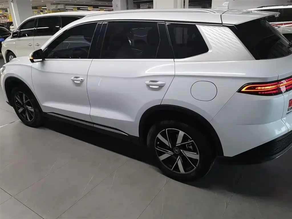 BYD Pro New Energy — фото 4