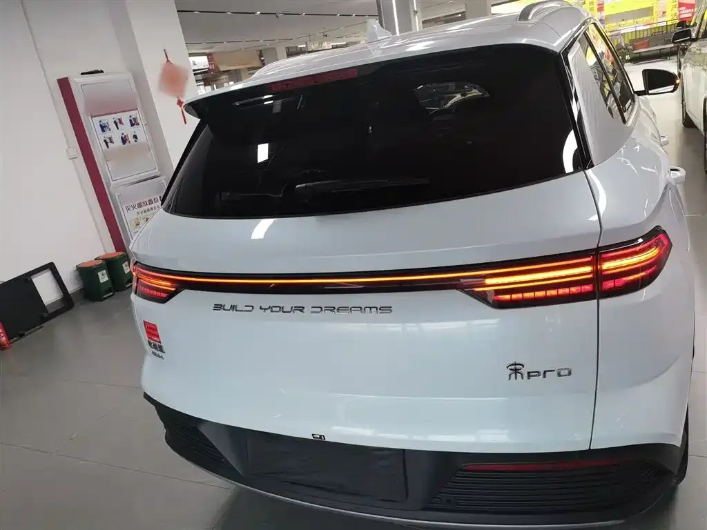 BYD Pro New Energy — фото 5