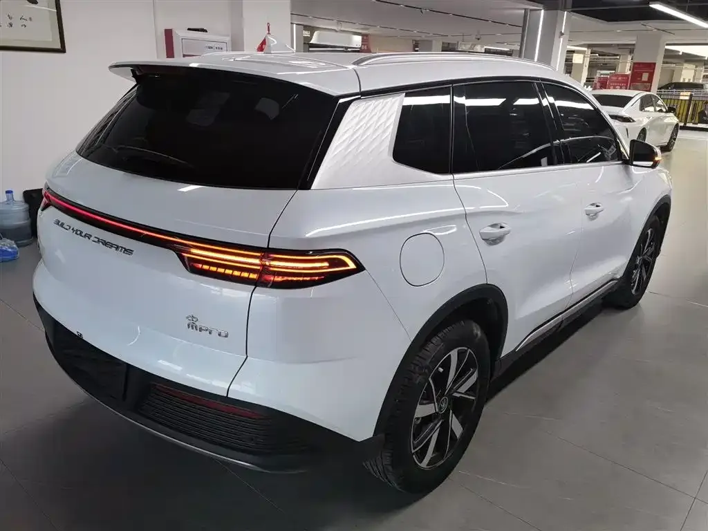 BYD Pro New Energy — фото 9