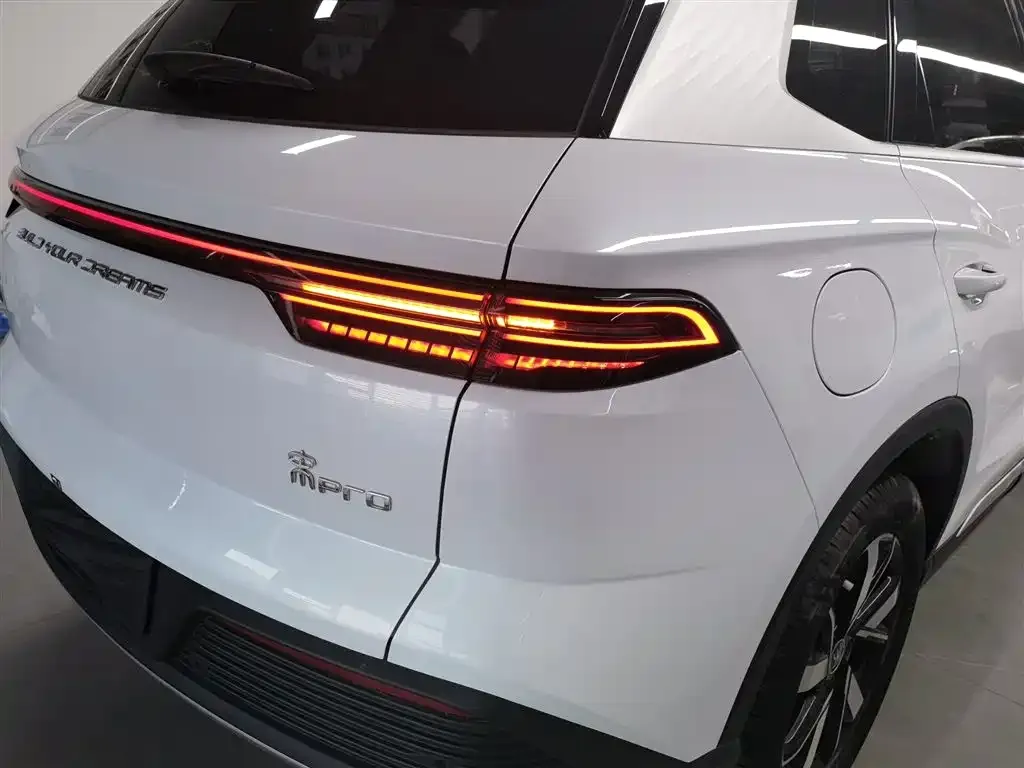 BYD Pro New Energy — фото 6