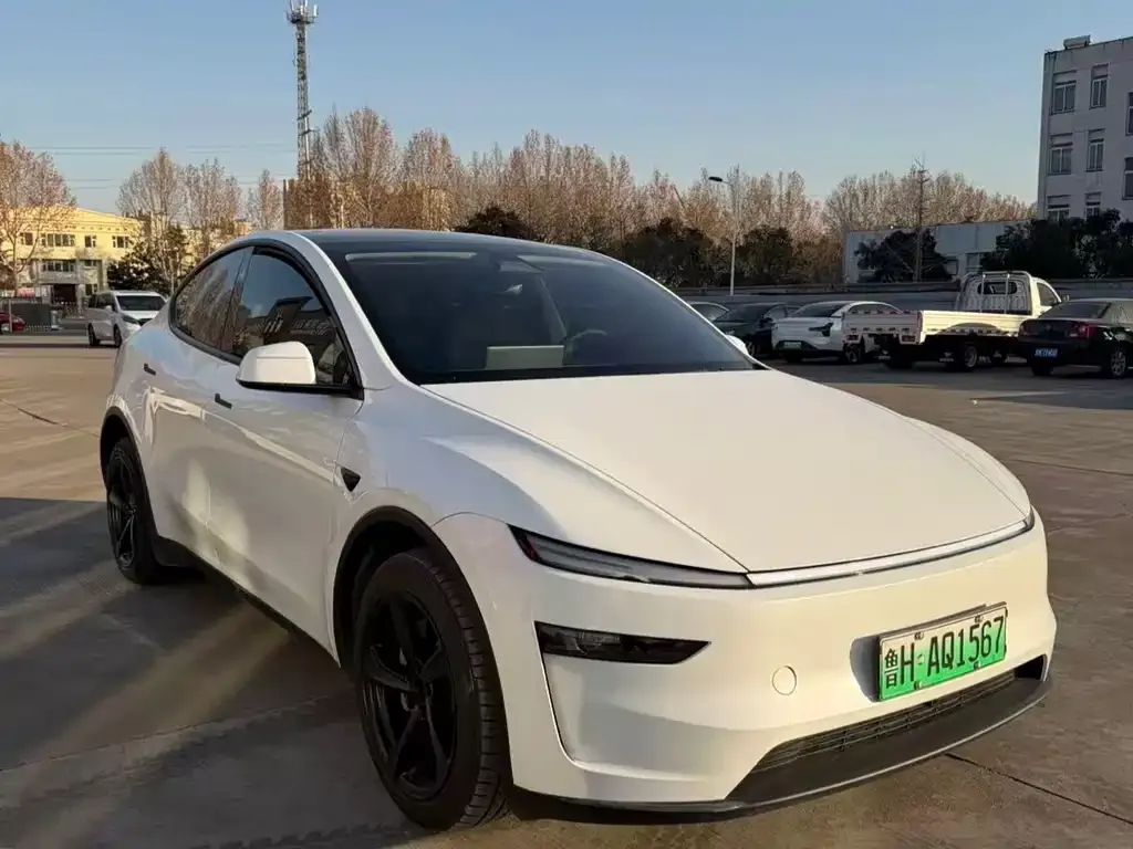 Tesla Model Y 2025 из CN, фото 9