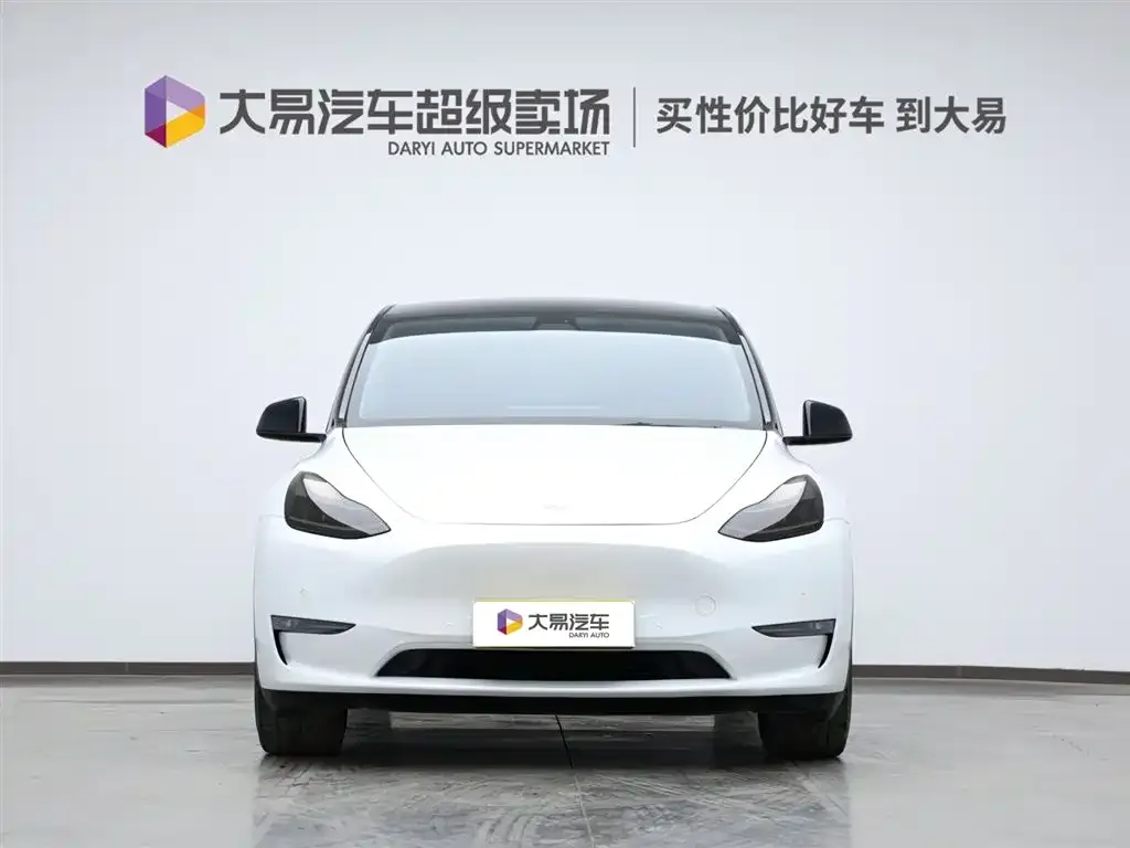 Tesla Model Y 2021 из CN, фото 2