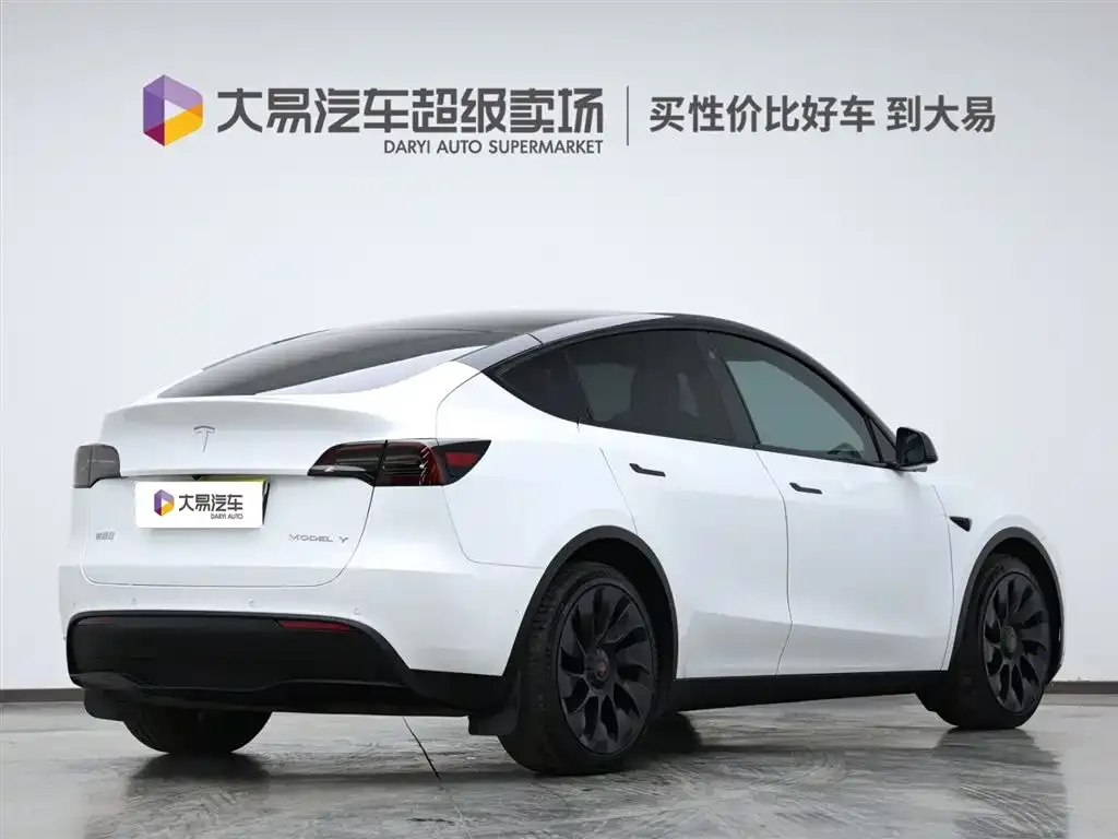 Tesla Model Y 2021 из CN, фото 3