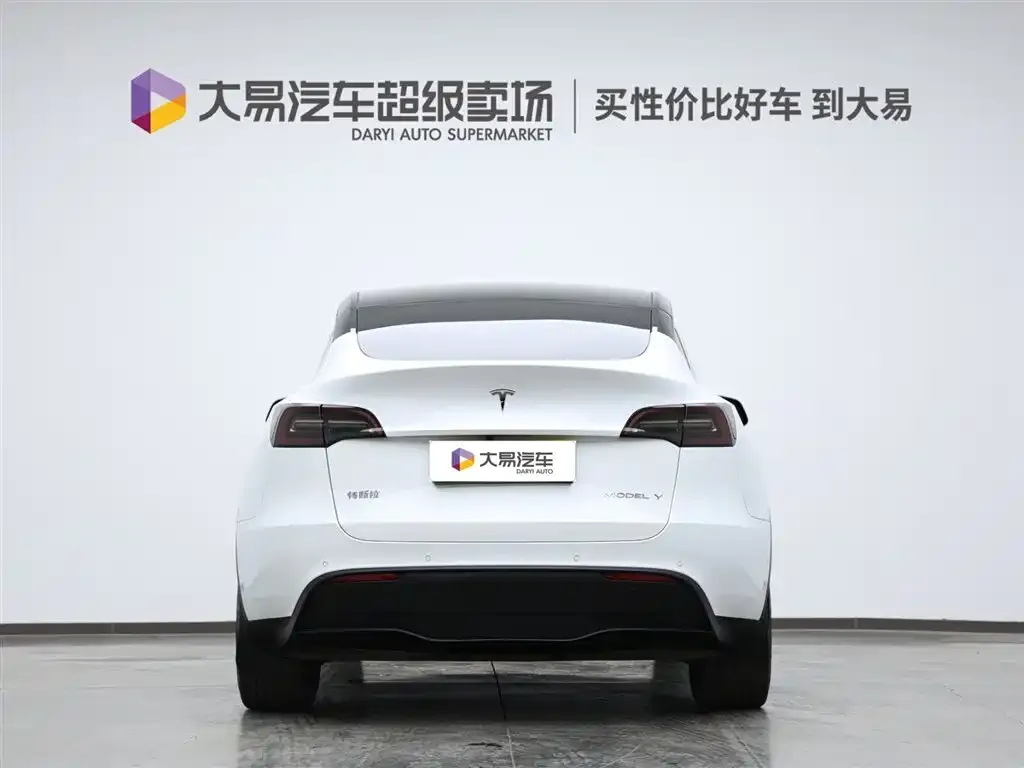 Tesla Model Y 2021 из CN, фото 4