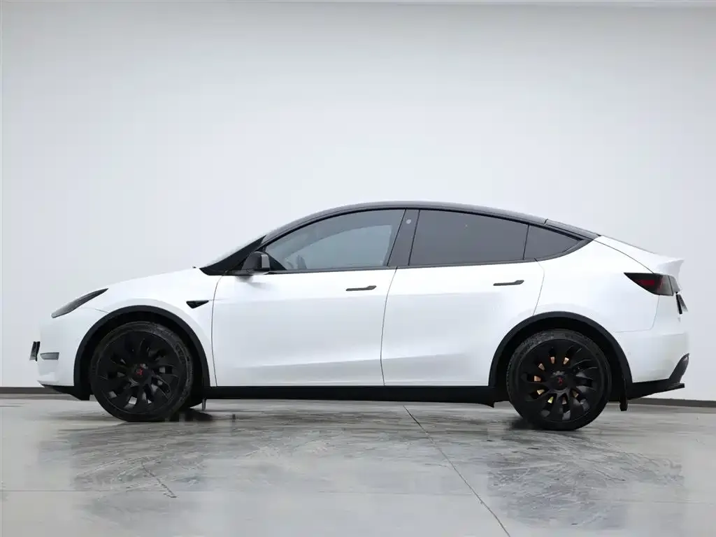 Tesla Model Y 2021 из CN, фото 5