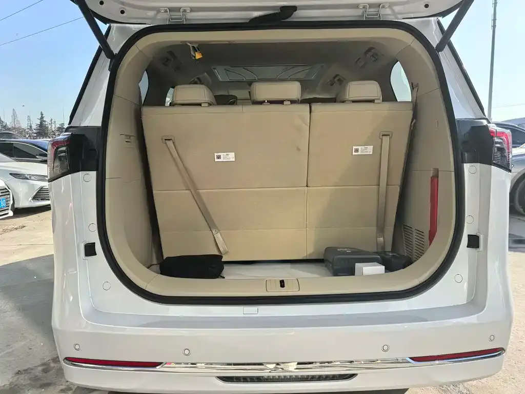 Buick GL8 Hybrid — фото 8