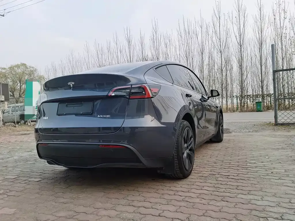 Tesla Model Y 2024 из CN, фото 9
