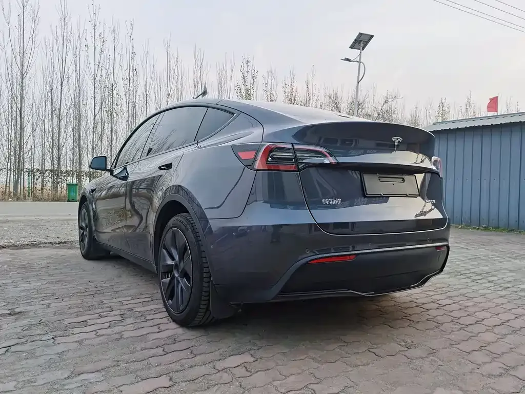 Tesla Model Y 2024 из CN, фото 8