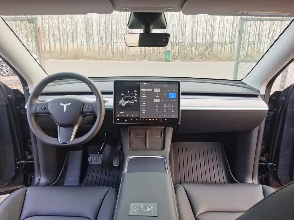 Tesla Model Y 2024 из CN, фото 6